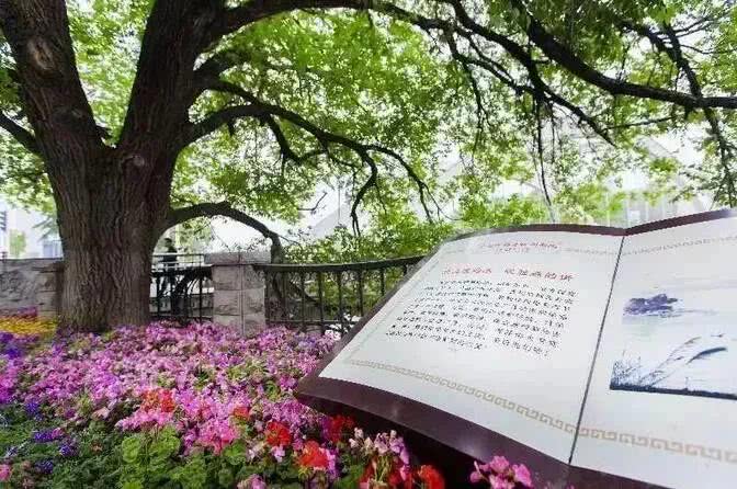 zoty��ŷ��(�й����޹�˾)�ٷ���վ