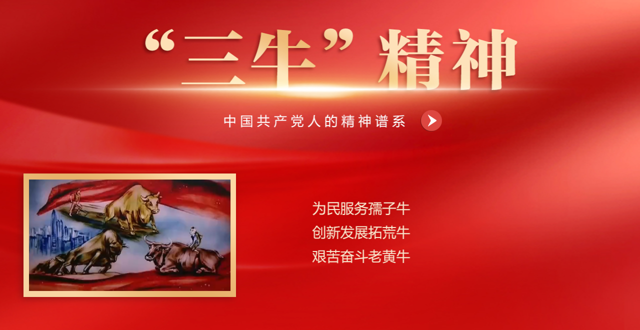 zoty��ŷ��(�й����޹�˾)�ٷ���վ