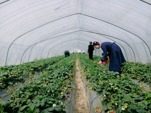 zoty��ŷ��(�й����޹�˾)�ٷ���վ