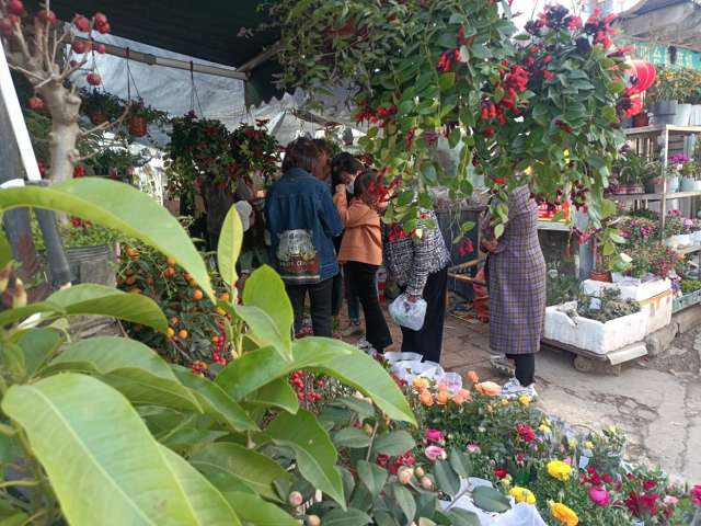 zoty��ŷ��(�й����޹�˾)�ٷ���վ