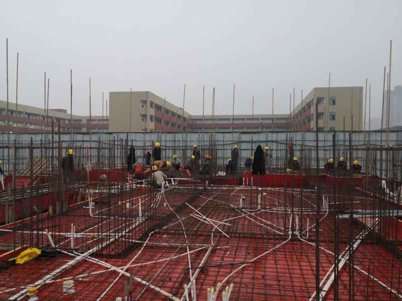 zoty��ŷ��(�й����޹�˾)�ٷ���վ