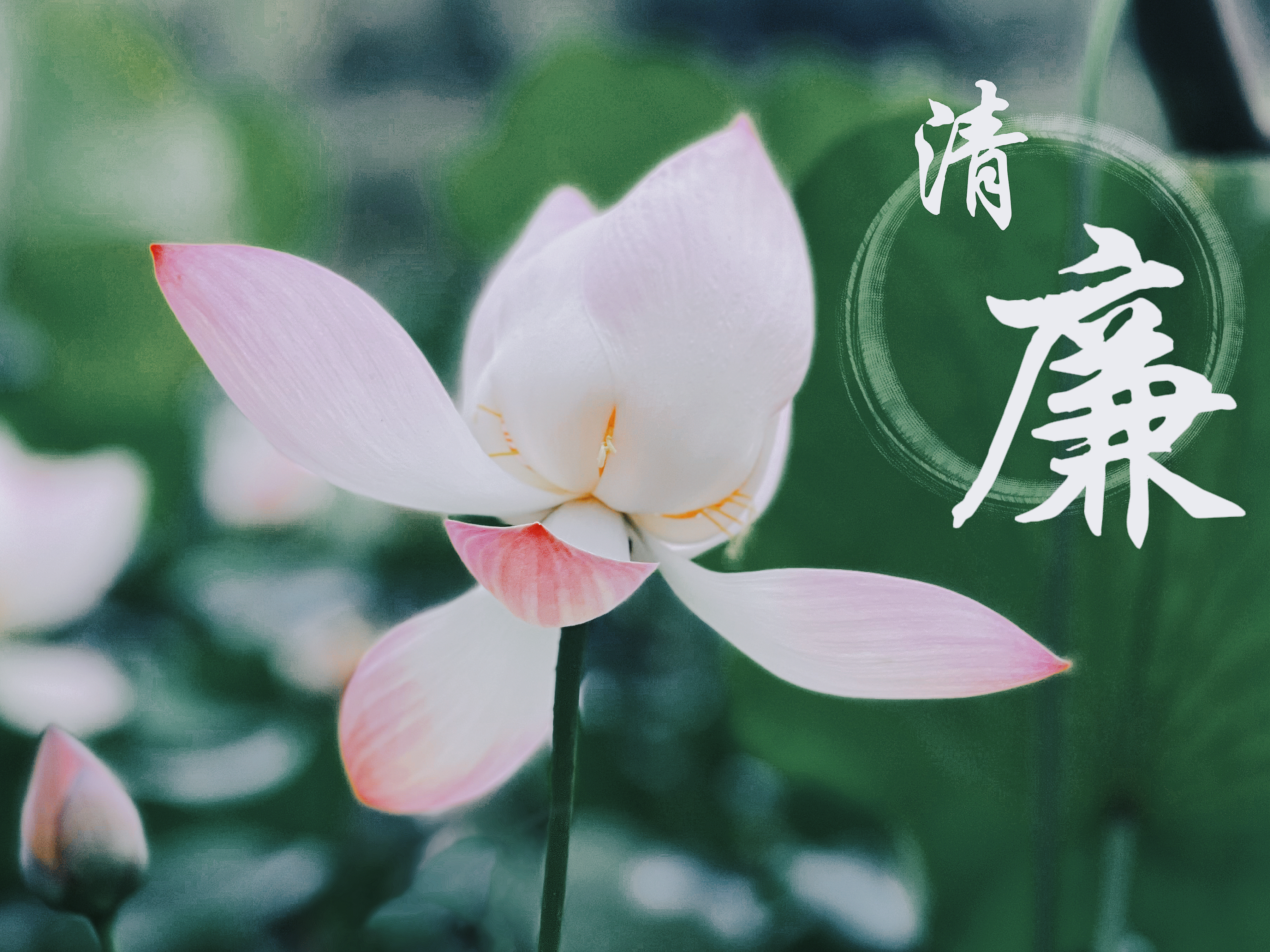 zoty��ŷ��(�й����޹�˾)�ٷ���վ