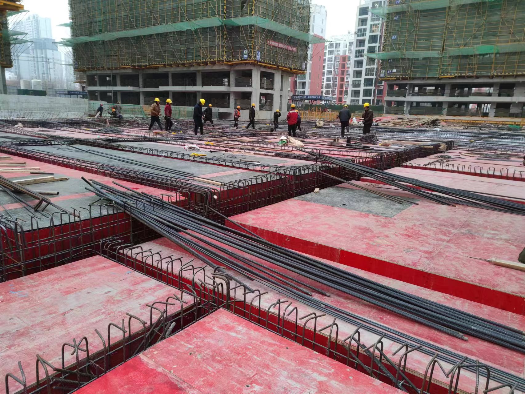 zoty��ŷ��(�й����޹�˾)�ٷ���վ