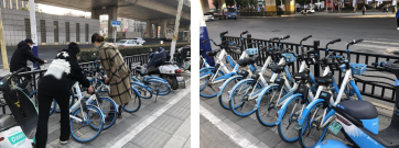 zoty��ŷ��(�й����޹�˾)�ٷ���վ