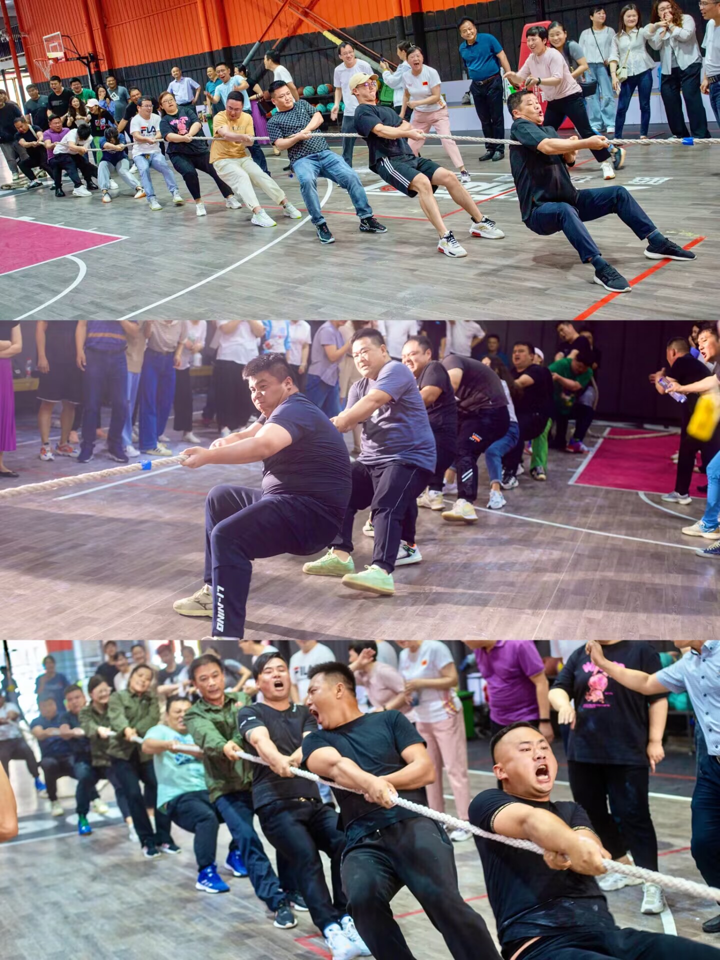 zoty��ŷ��(�й����޹�˾)�ٷ���վ