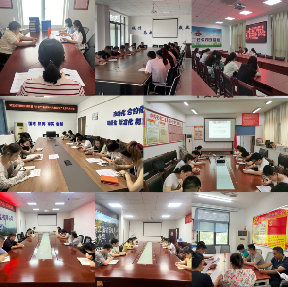 zoty��ŷ��(�й����޹�˾)�ٷ���վ