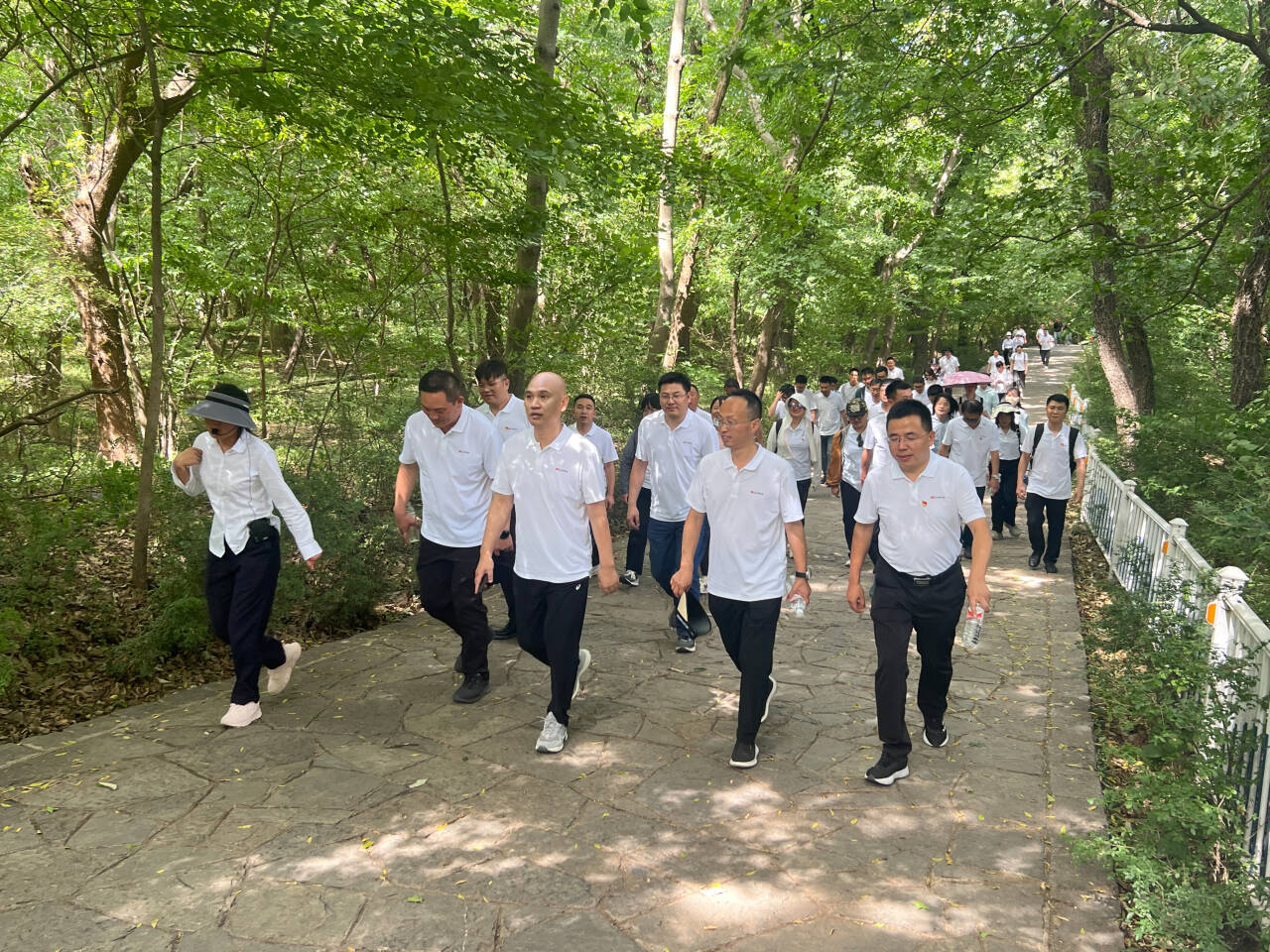 zoty��ŷ��(�й����޹�˾)�ٷ���վ